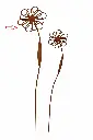 MD70112_01.webp