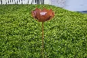 MD14101.webp