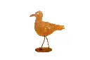 MD14079_01.webp