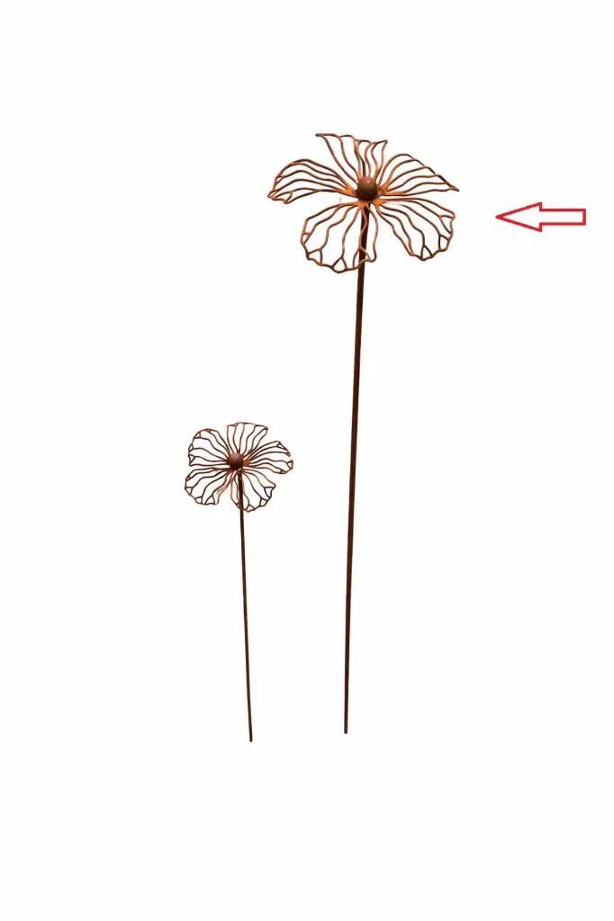 MD70145_01.webp