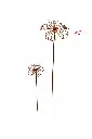 MD70145_01.webp