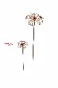 MD70140_01.webp
