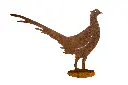 MD14044_01.webp
