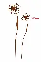 MD70111_01.webp
