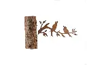 MD14073_01.webp