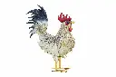 MD19780_01.webp
