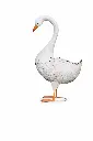 MD19785_01.webp