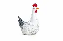MD19783_01.webp