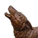 B1551_02.webp