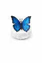 BS1545C_01.webp