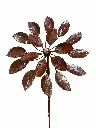 MD60003_02.webp