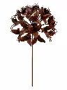 MD60012_01.webp