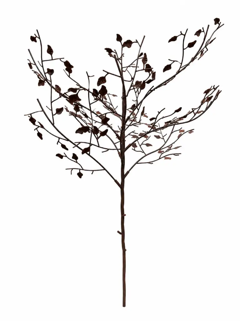 MD60009_02.webp