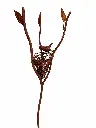 MD60007_01.webp