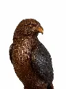 B1290_02.webp