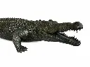 B1581_03.webp