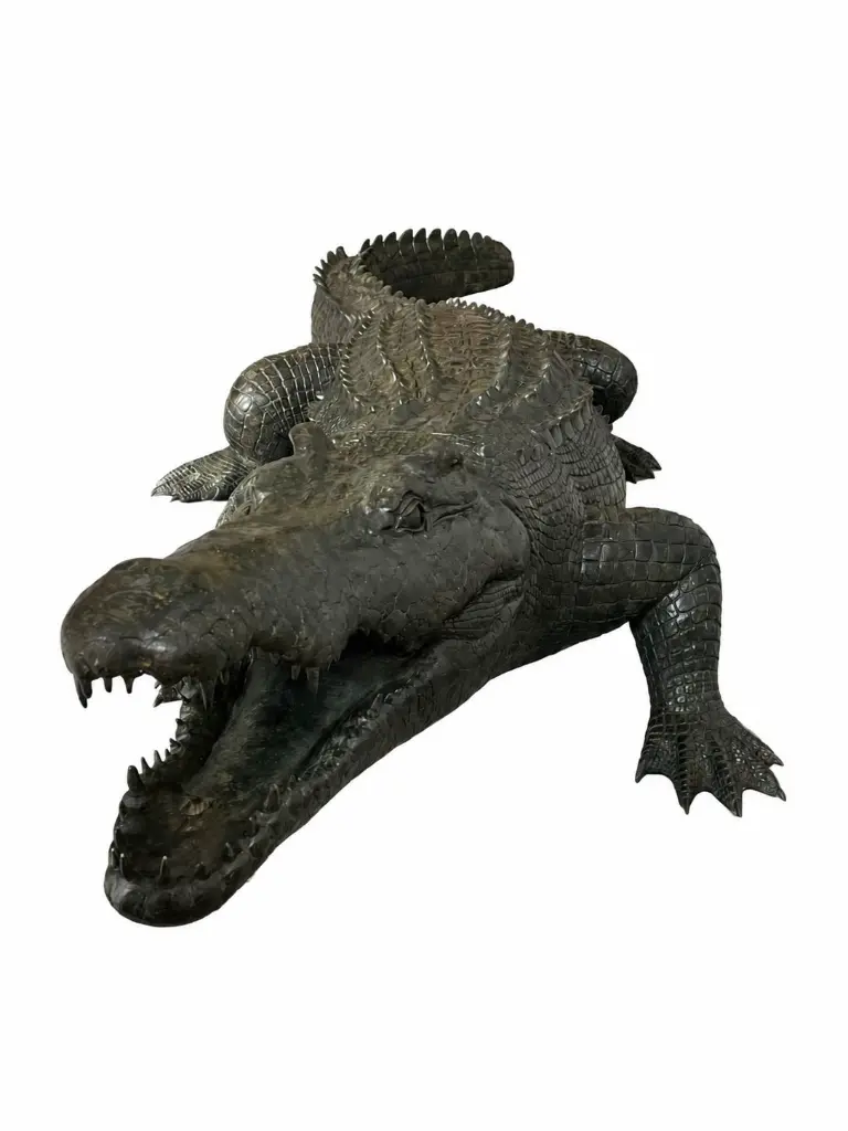 B1581_02.webp