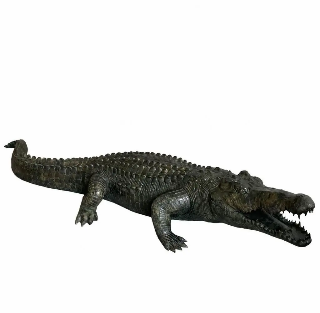 B1581_01.webp