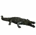 B1581_01.webp