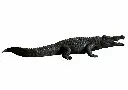 B1581_04.webp