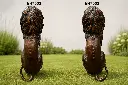 B47503-1.webp