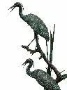 B97240_02.webp