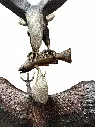 B57594_03.webp