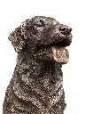 B1559_03.webp