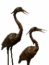 B97240_02.webp