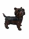 B98010_01.webp