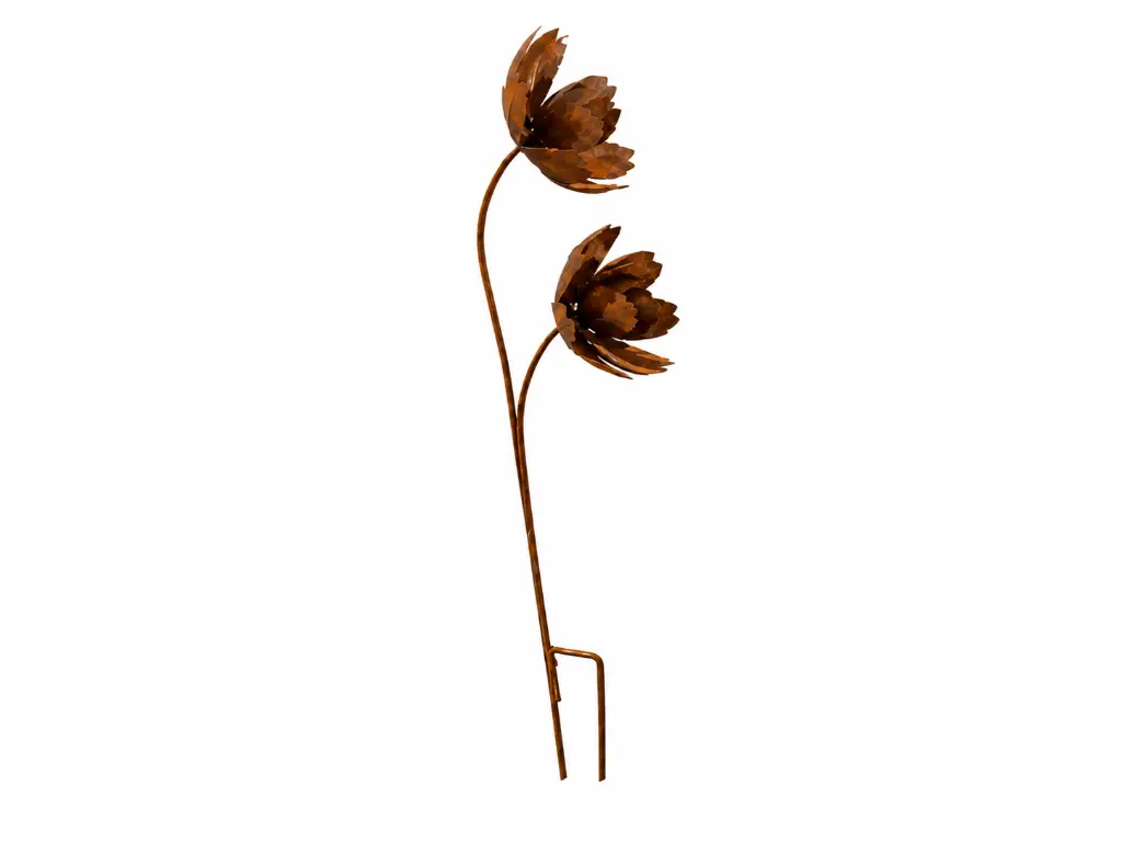 MD14261_01.webp
