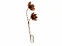 MD14261_01.webp