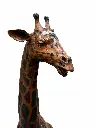 B860_02.webp