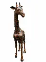 B860_01.webp