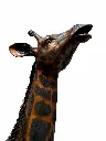 B860-2_01.webp