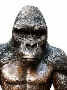B1423_01.webp