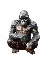 B1423_02.webp