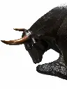 B47557_03.webp