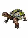 MD18001_01.webp
