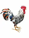 MD18003_01.webp