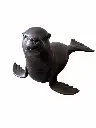 BS1537B_02.webp