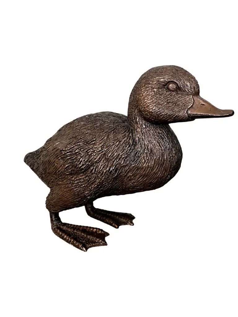 BS1555B_02.webp