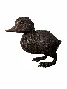 BS1555B_01.webp
