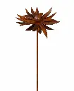 MD14259_01.webp