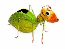 MD16254_01.webp