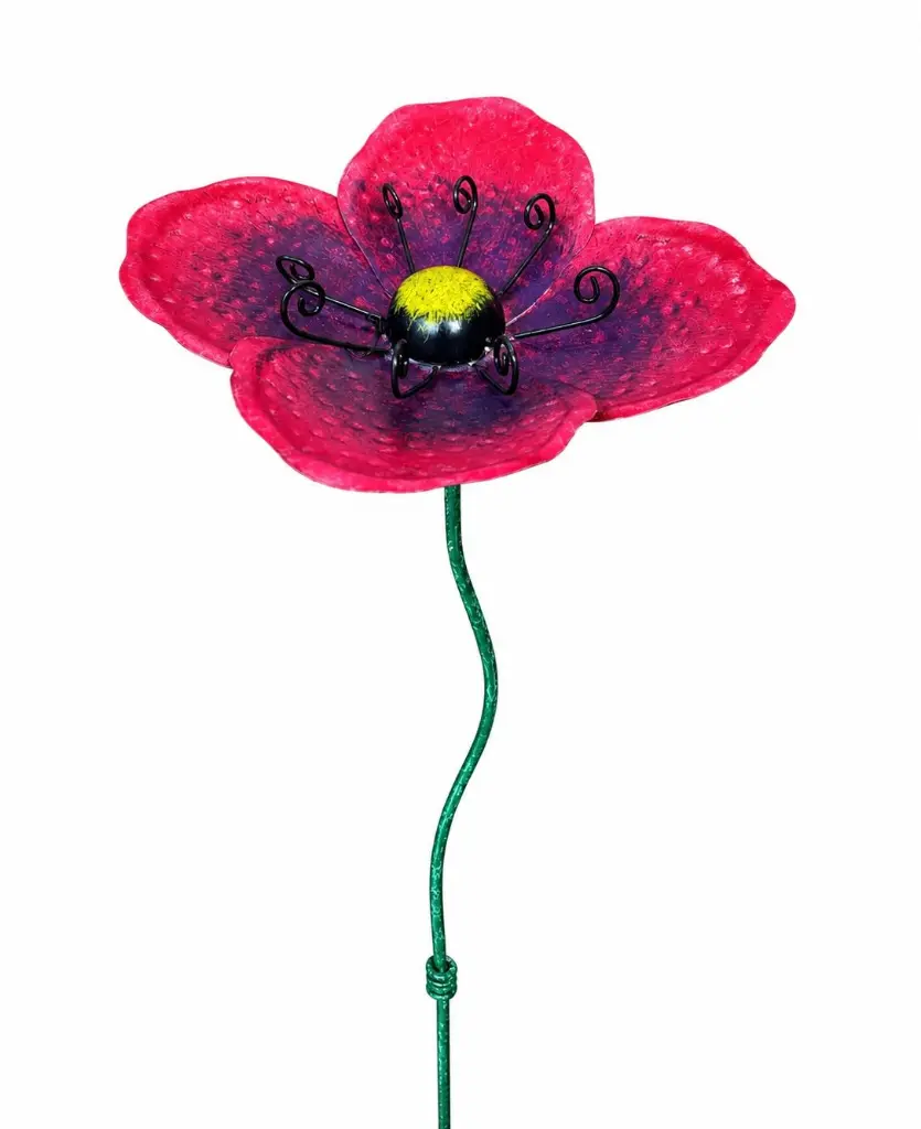 MD16267_01.webp