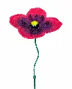 MD16267_01.webp