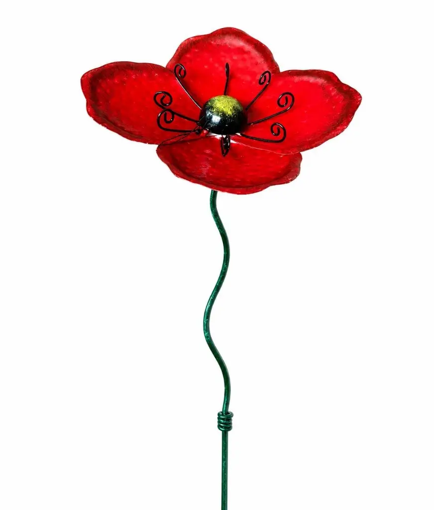 MD16268_01.webp