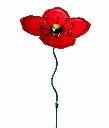 MD16268_01.webp