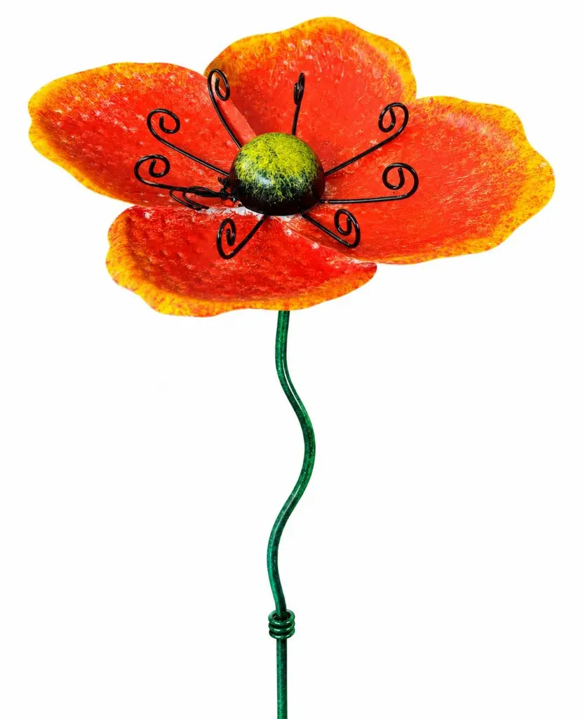 MD16269_01.webp